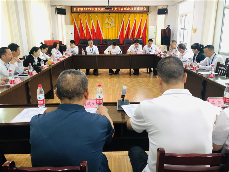 图3：白水镇2023年度民生实事人大代表票决项目调研座谈会.jpg