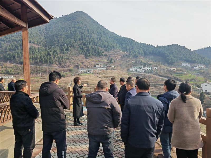 在沙河镇调研旅游产业建设情况.png
