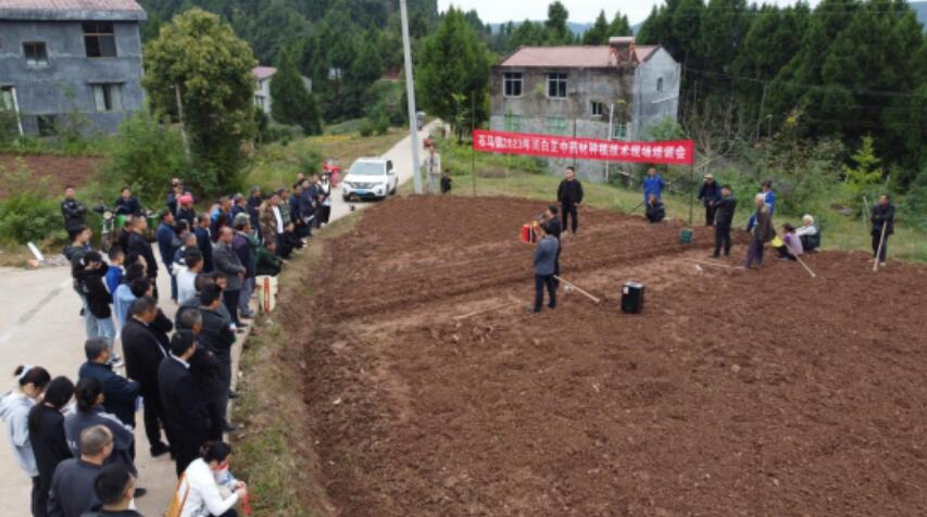 2023120811344606.jpg 01.jpg