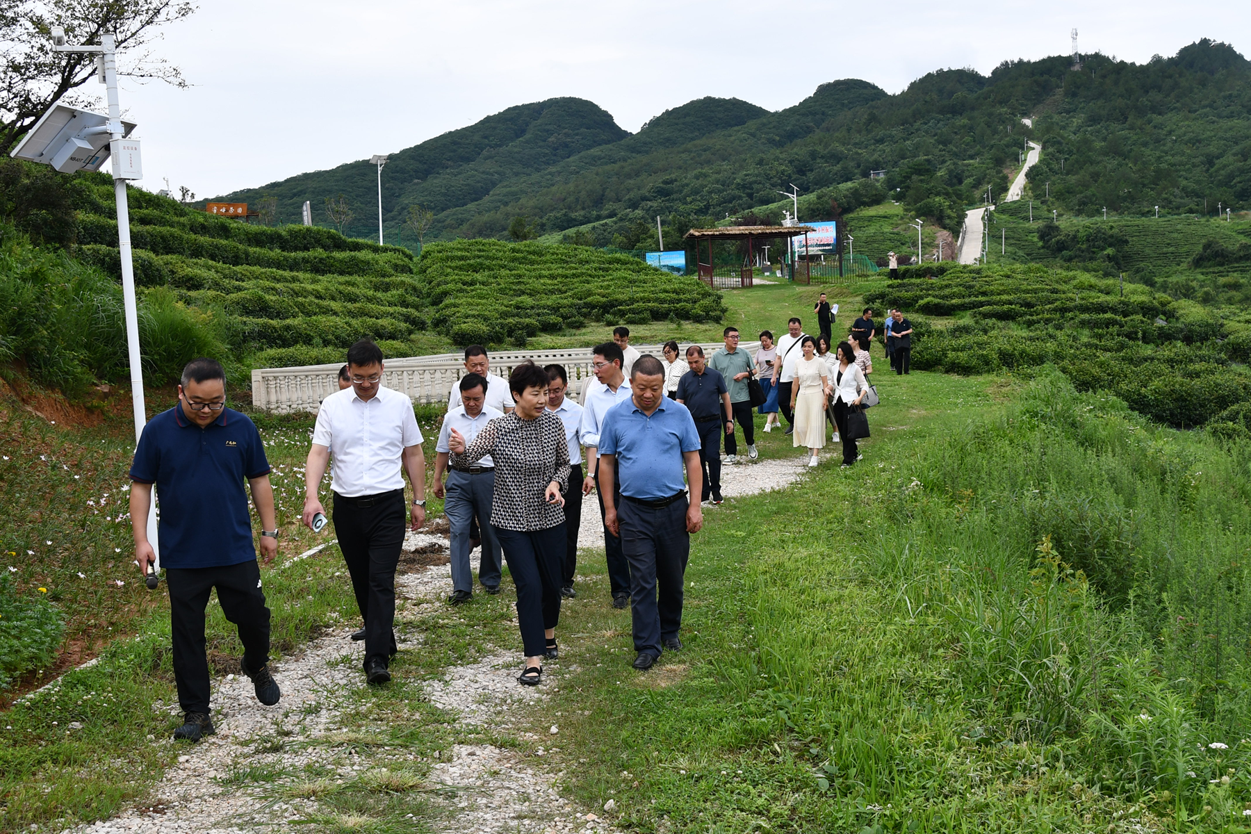 2024071218321106.png 图片2.png