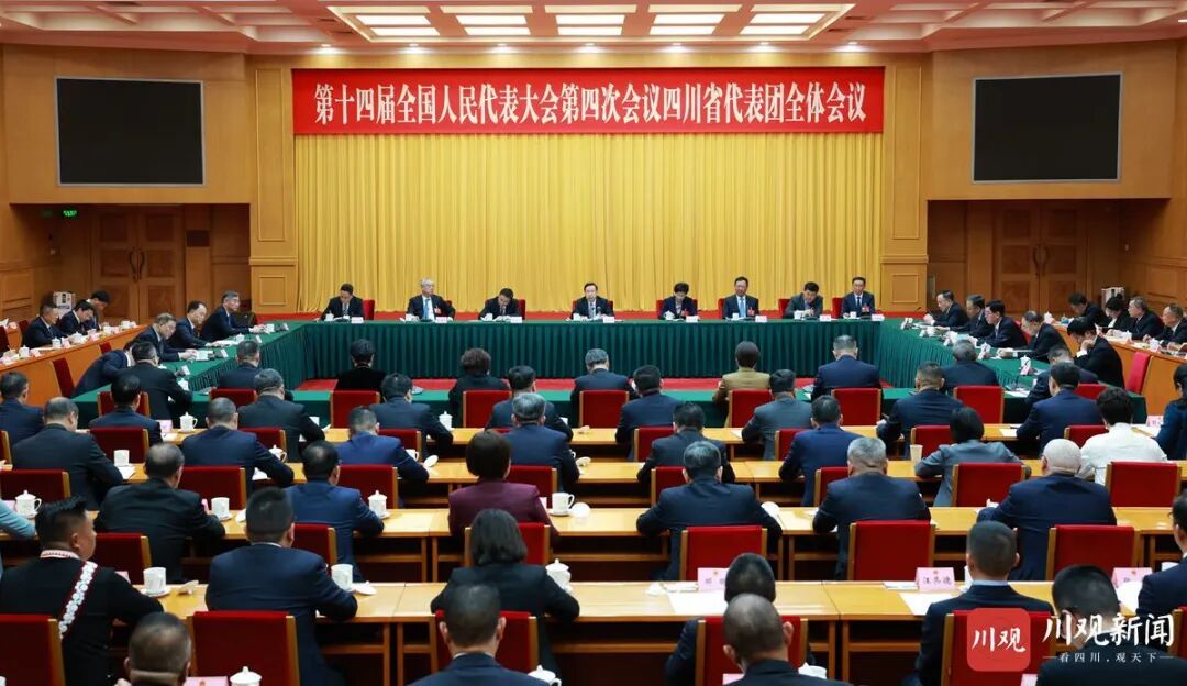 四川代表团举行全体会议 推选王晓晖为团长 施小琳等为副团长